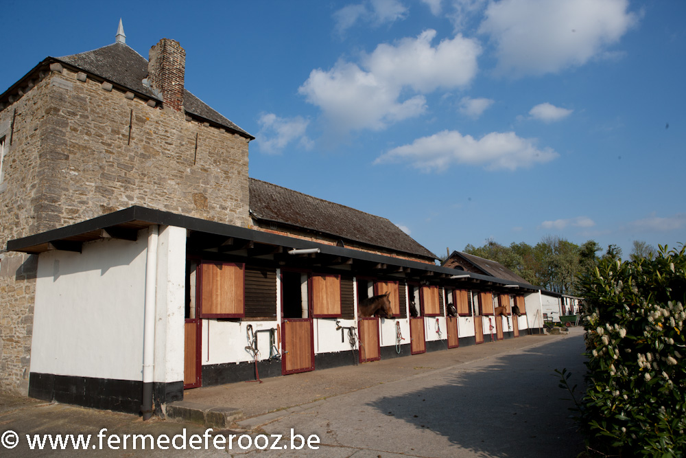 Boxes pour chevaux