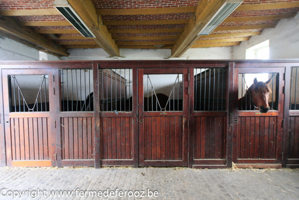 Boxes pour chevaux